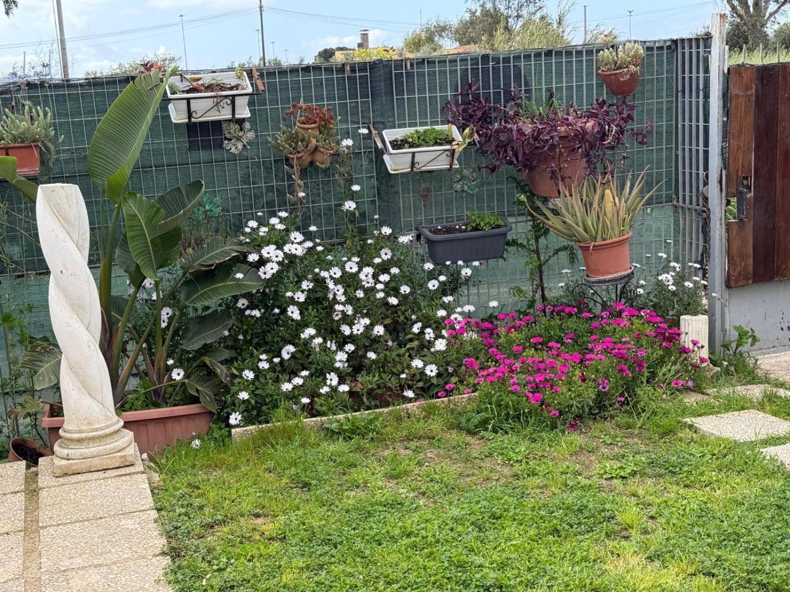 Flower House Civitavecchia Luaran gambar